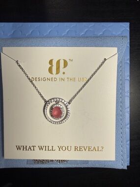 bp Silver-Tone Circle Pendant Necklace with Pink Center Stone